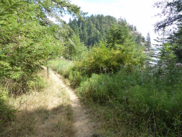 Trail at Eagle Harbor