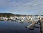 Jan15th-32-Friday Harbor