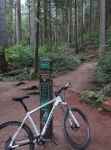 On my mountain bike ride Friday on Chuckanut