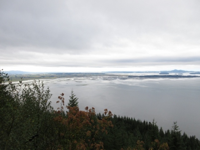 View at 1500 feet looking south over Skagit island