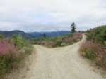 Heading down logging roads on Chuckanut mountain