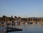 Boats at sunset Saturday