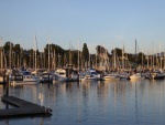 Boats at sunset Saturday