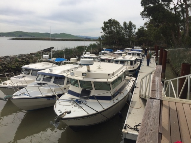 10 boats (+ Island boat) at Wheeler Island docks.