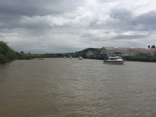 A gaggle of C-Dory\'s going down the Petaluma River