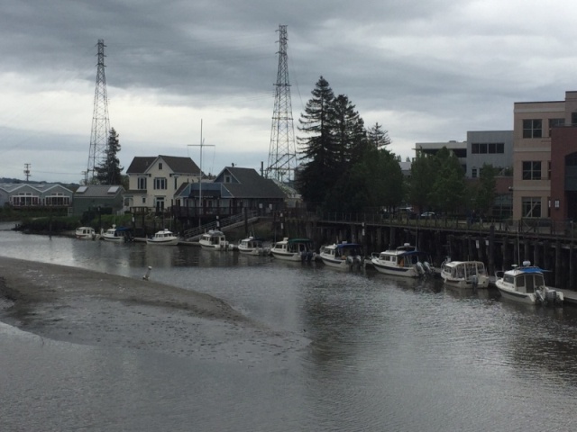 Petaluma Turning Basin Docks