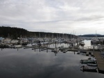 Friday Harbor Marina Saturday morning