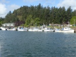 Tribal crabbing / fishing fleet