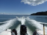 Unfortunately there was a pretty good Westerly breeze so I took the slough back North to the San Juans