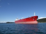 One of the many tankers anchored between Anacortes and Bellingham Bay