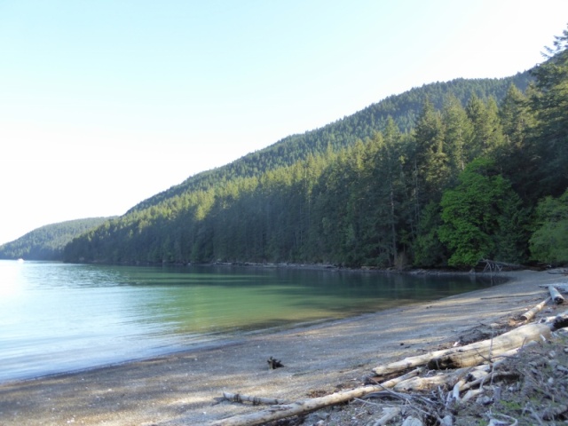 My first time at Eagle Harbor on Cypress Island