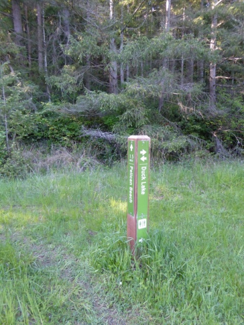 Trail marker at Eagle Harbor