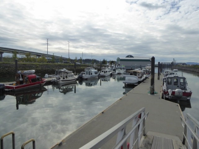 A busy marina on a Thursday afternoon departure.