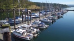 Friday Harbor H dock