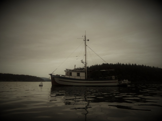 Cool old fishing boat in Friday Harbor