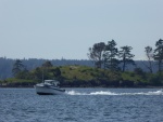 A 1959 Skagit 20' cruising through the Wasp Islands.  Like C-dory, Skagits were also locally built fiberglass boats built in the 1950s and early 1960s