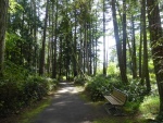 Trail to the South side of Jones