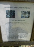 Garry Oak restoration