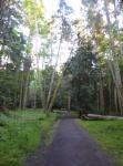 Trail at sundown