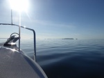 After passing up vacant buoys at Cypress, and then Clark islands, I continued North