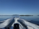 Clark and Barnes and Lummi Islands in the background