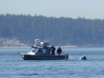 Listening to 16, I heard someone hailing the USCG to report a sunken vessel adrift..the location was nearby, I looked up and realized they were just a few hundred yards away!