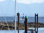 Doesn't look like much from here, but those waves were big. Even the big boats were coming back in.