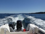 Cruised this speed, about 8.5 to 10 knots all the way to Denman Island.