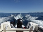 Making way up Georgia Strait. Boat rides so nice after burning off all that fuel!