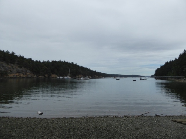 At the beach in Reid Harbor, Stuart Island (San Juans)