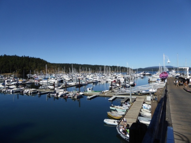 Friday Harbor on a busy Saturday in late August