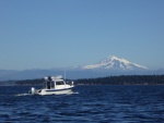 Brock and Mount Baker