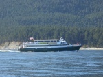 My folks happen to be on this whale watching boat, along with my uncle!