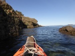 Dodging in and out of rocks in the shallows