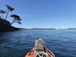 My turnaround point. A total of about 3.5 miles for the afternoon kayak trip.