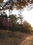 Rope swing at the top of Chadwick Hill