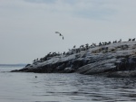 Bird Poo Point. You can smell it from about half mile away. Yuck.