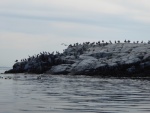 Bird Poo Point. You can smell it from about half mile away. Yuck