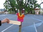 Someone knitted a sweater aroung the tree trunk.