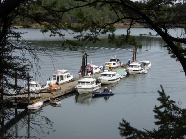 Boats at Prevost dock on Saturday morning