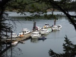 Boats at Prevost dock on Saturday morning