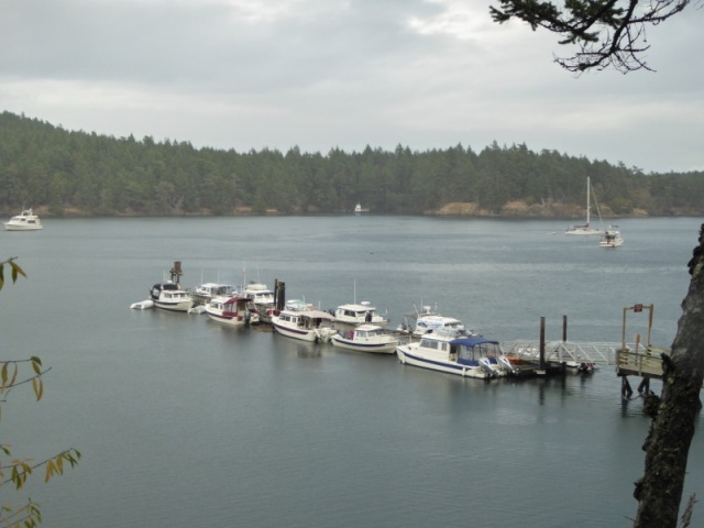 Prevost harbor dock Saturday afternoon - 10 boats all C-dorys