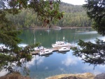 Reid Harbor dock Sunday morning