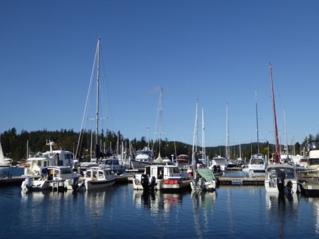 C-Brat lineup at Deer Harbor