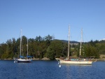 Sailboats in Deer Harbor
