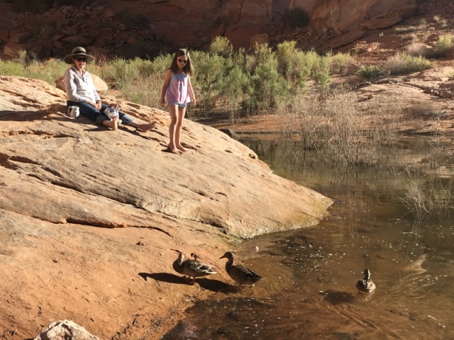 Granddaughter, Wrenny loved the ducks in Forgotton Canyon