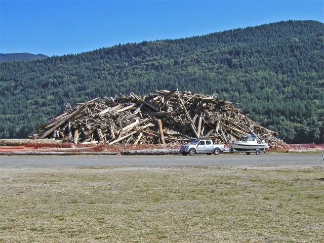 The lakes log pile