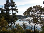 Highlight for Album: Friday Harbor