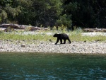 I headed for Deserted Bay on the Deserted River near a place marked 