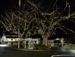 Christmas lights Friday Harbor Dec 2nd